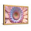 Plantes et fleurs - Motif de marguerite rose et mauve pastel-2062042481-2062042484-2062042480