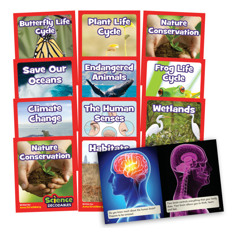 Educational Game or Tool