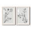 «Botanical Study I», reproduction de photo sur toile 2 pièces-1597680962-1597680973