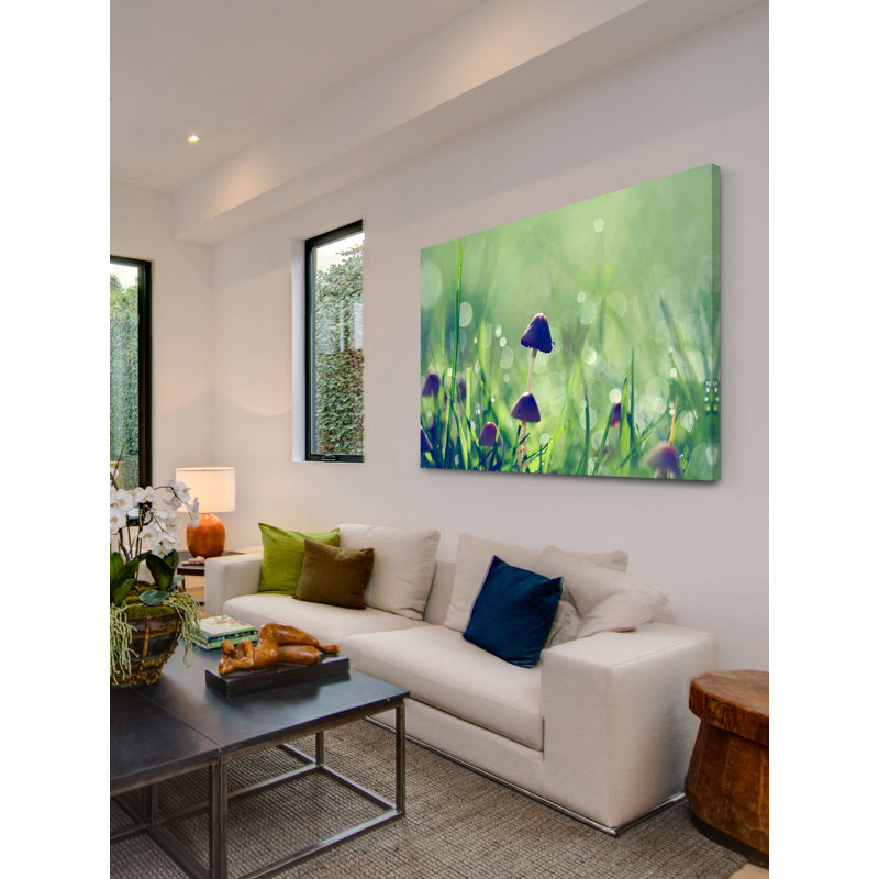 «Fairy Garden» par Sylvia Cook - reproduction sur toile tendue, H 16 po x l 24 po x P 1,5 po