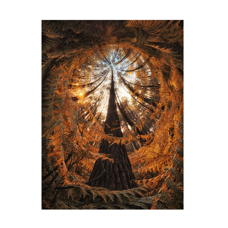 Art sur toile par François Casanova, H 14 po x l 19 po