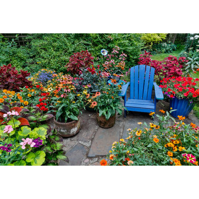 Posterazzi " Garden In Full Bloom With Blue Chair Sammamish Washington State " by Darrell Gulin