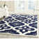 Tennille Floral Wool Hand Woven Area Rug