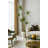 Dracaena Drop-in Plant