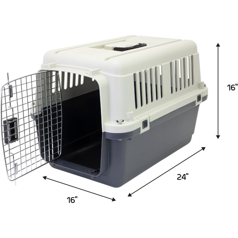 Caisse de voyage pour chien en plastique
