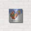 «Christmas Crower» par Annelein Beukenkamp, art mural en métal-1470912076