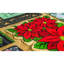 Poinsettia 31 po x 19 po tapis de porte extérieur antidérapant Pugh