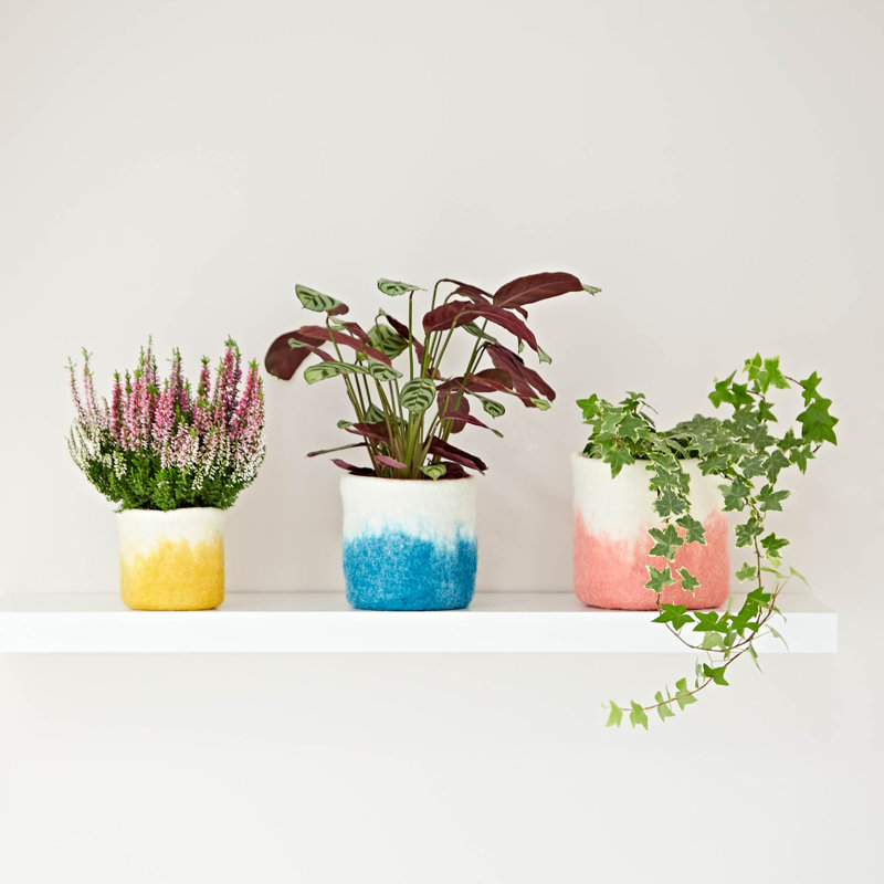 Plant Stand, Peach