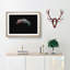 Moon - Picture Frame Graphic Art Print-55732184-55732188