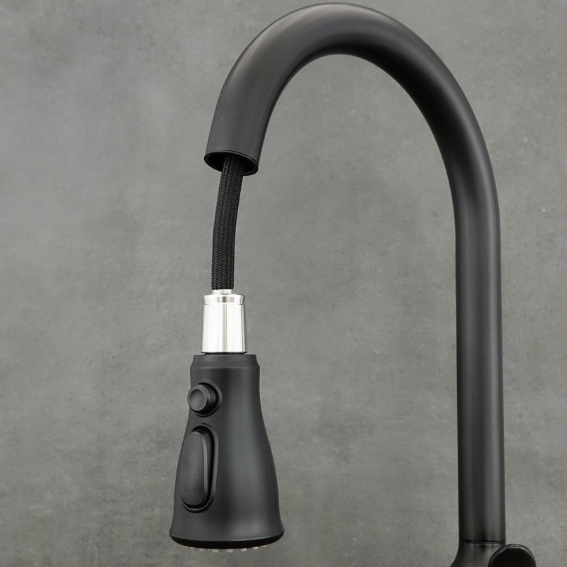 Belfry Kitchen Kitchen Faucet, Black