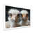 Cadre simple blanc