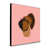 Rose est en rupture de stock