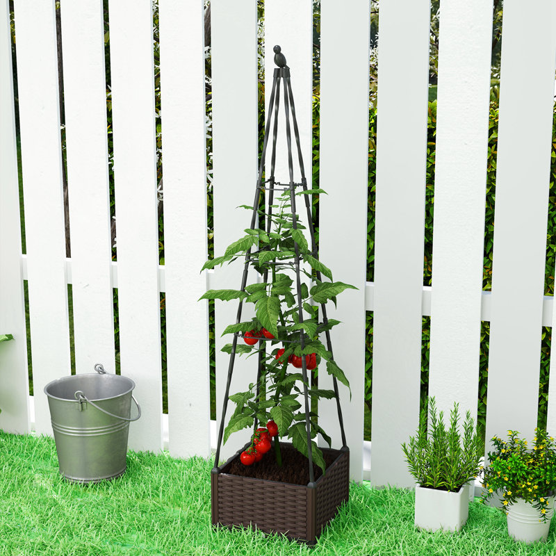 Raised Garden Bed