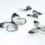 Embellissements papillons noirs et blancs