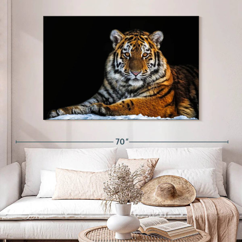Tigre instantané, H 34 po x l 51 po