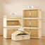 Armoire de rangement 19,69 po