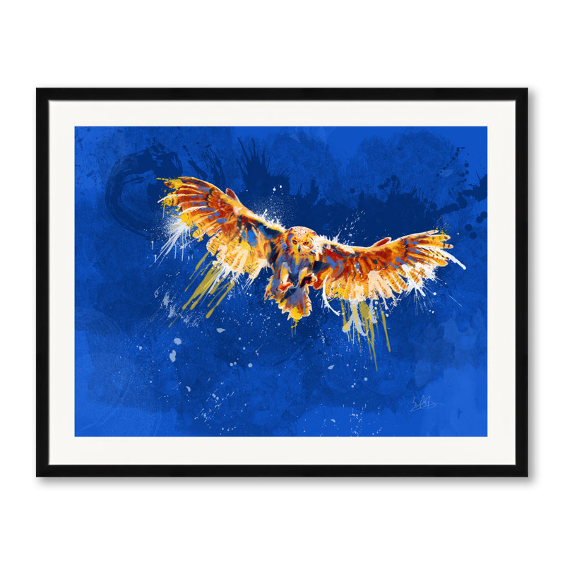 «Night Owl, Bird Illustration» par Flo Meylan - impression, Papier avec cadre noir, H 25,25 po x l 31,25 po
