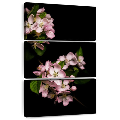 Fleurs soyeuses Harnek