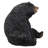 Black Bear Sitting