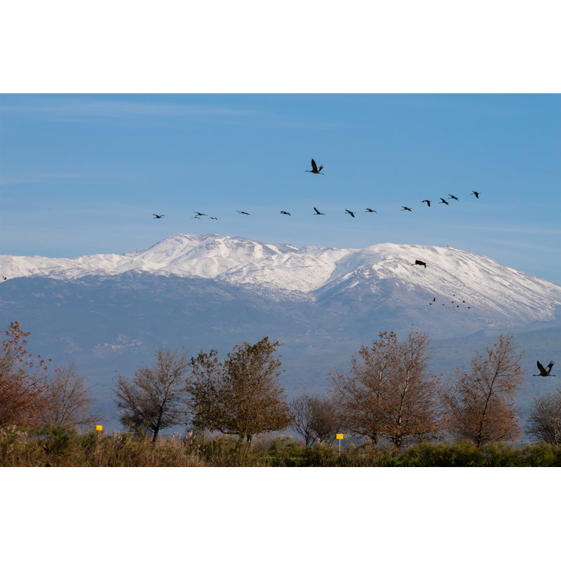Mount Hermon, Israel by Boryak - No Frame Print on Canvas, 51cm H x 76cm W