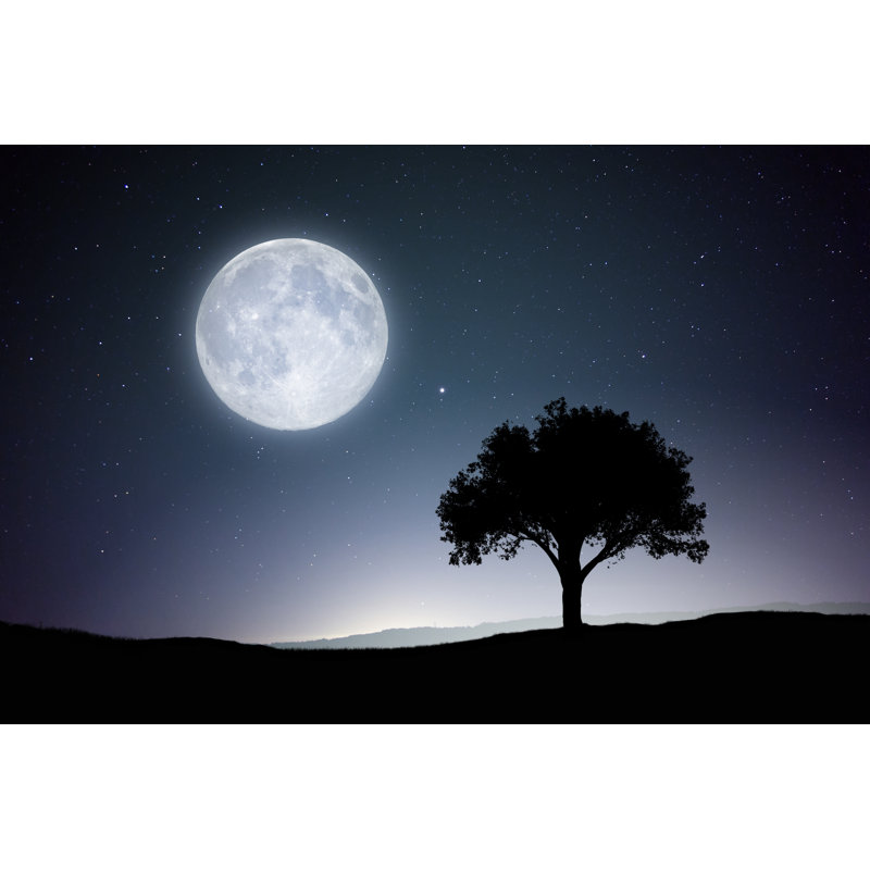 Full Moon by Draganab - Wrapped Canvas Print, 20cm H x 30cm W