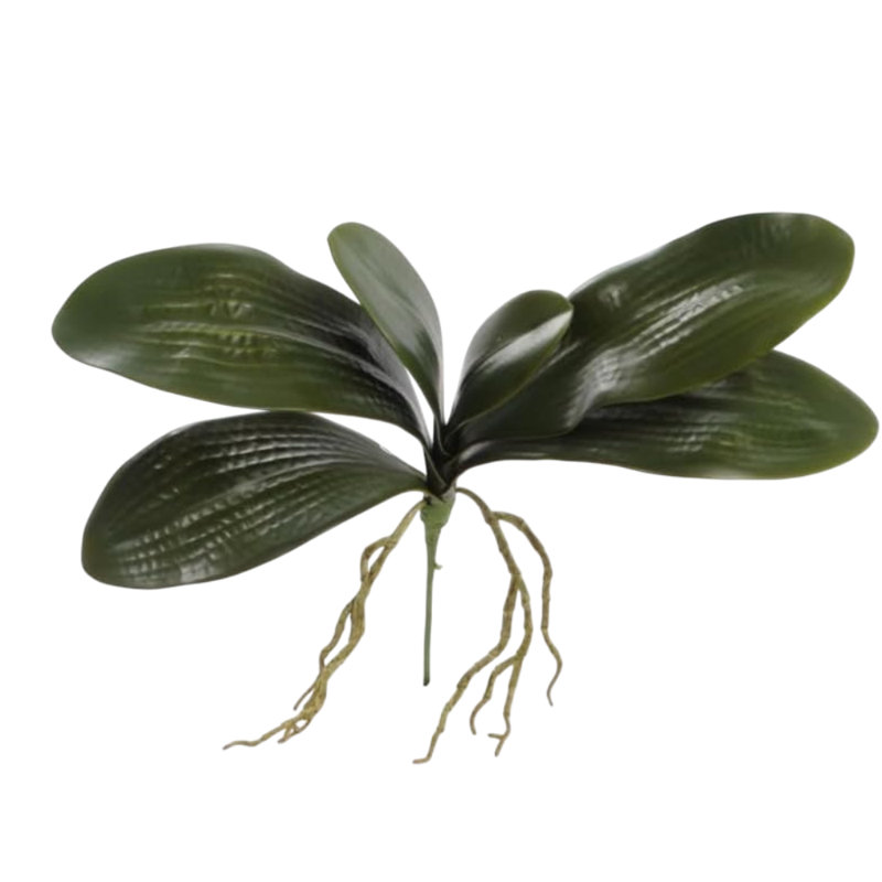 16" Phalaenopsis Orchid Leaf Cluster – Set of 4 Faux Stems