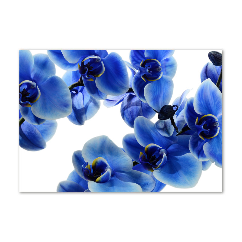 Blue Orchid - Wrapped Canvas Print