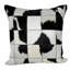 Square Pillow Cover & Insert