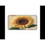 Desk Pad-1073296416
