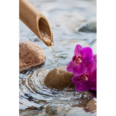 Tranquil Scene by Studio Grand Web - Wrapped Canvas Print