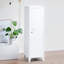 Quezada 1 -Door 2 -Shelf Storage Cabinet-1679486808