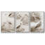 Oiseaux d'eau sépia I, ensemble de 3 toiles encadrées-97706973-97706972