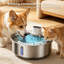 Fontaine à eau sans fil en acier inoxydable pour chats et chiens, batterie de 5000 mAh, détecteur de mouvement-135964799