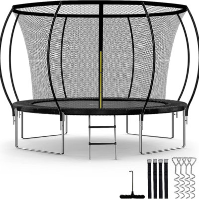 Trampoline récréatif de luxe simple avec filet d'enclos 12 pi