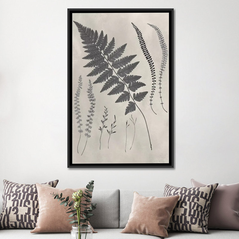 «Vintage Fern Study II», impression sur toile, H 60 po x l 40po x P 1,5 po, Toile avec cadre noir, Pas de tapis