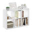 Leel Standard Bookcase-1618020264-1613160028