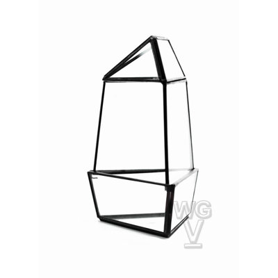 Terrarium en verre oblisk triangulaire