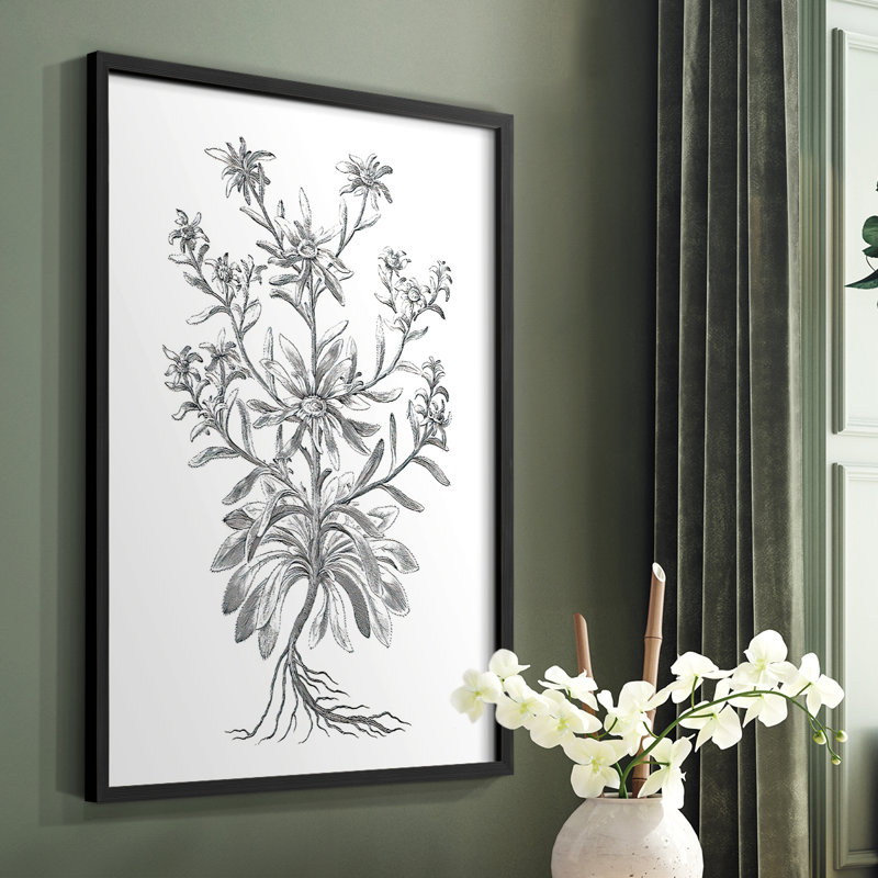 «B&W Plant Speciment VI», reproduction encadrée - bois massif, Noir, H 20 po x l 16 po