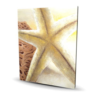 Starfish and Seashells Canvas - Brown Contemporary Home Decor