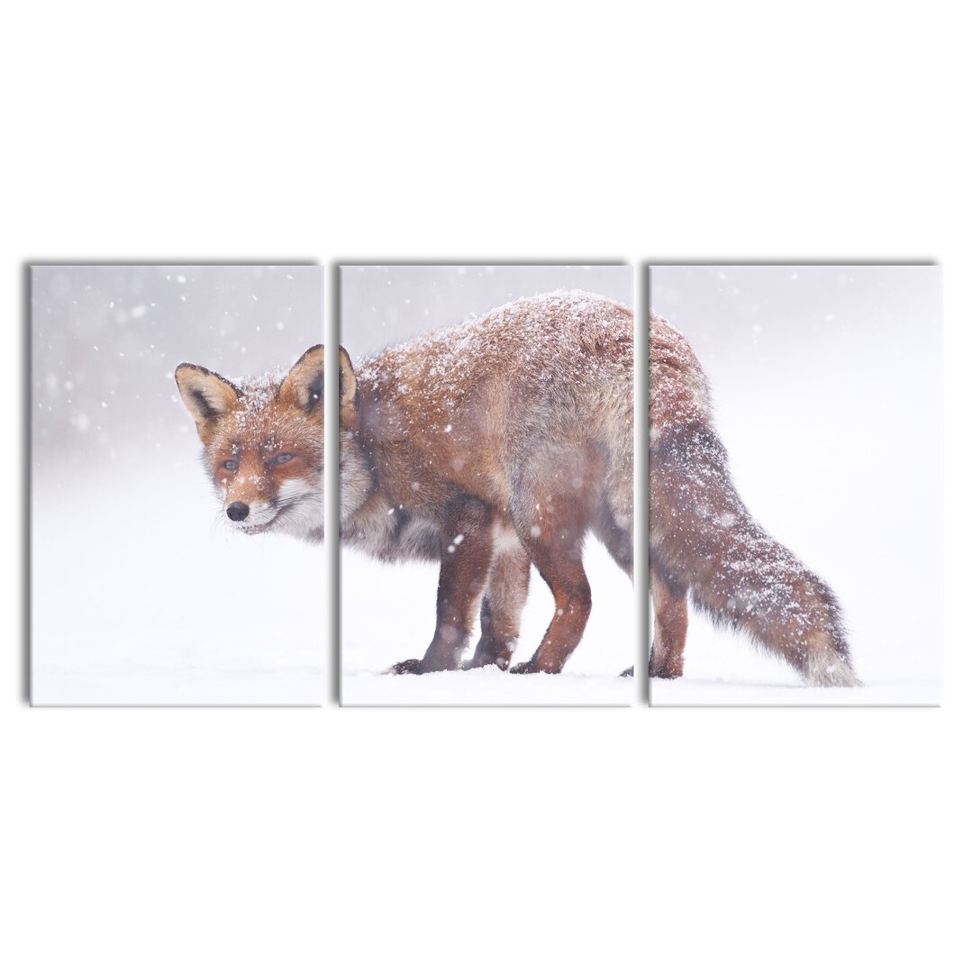 3-tlg. Leinwandbilder-Set Roter Fuchs im Schneegestöber