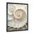 Black Picture Framed
