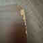 Photos des clients 2 de 4