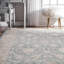Rochelle Oriental Area Rug-1837884679