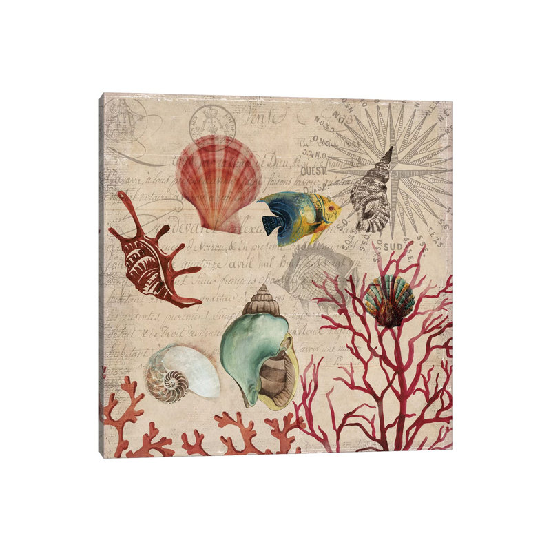 Coral I by Aimee Wilson - Wrapped Canvas Print, 30.48 cm H x 30.48 cm W