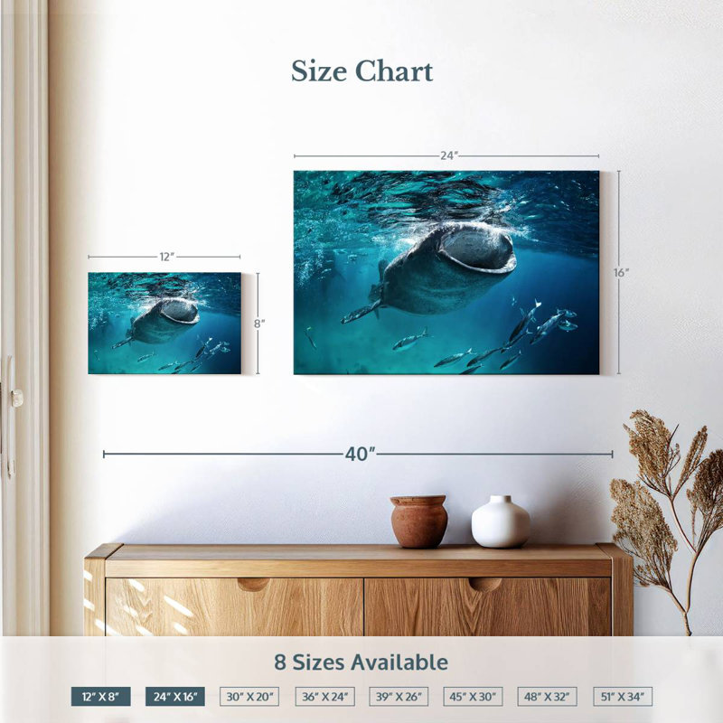 Brampt Gaping Whale Shark, 16" H x 24" W
