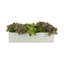 Succulents and Sedum Arranged in Fiberstone Planter