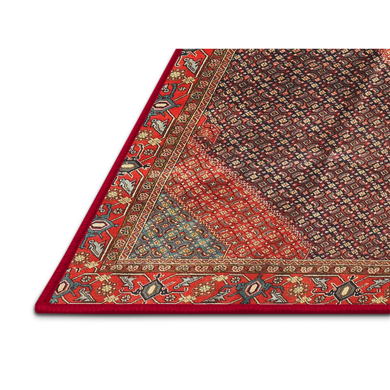 Oriental Indoor Rug, Rectangle 6' x 9'
