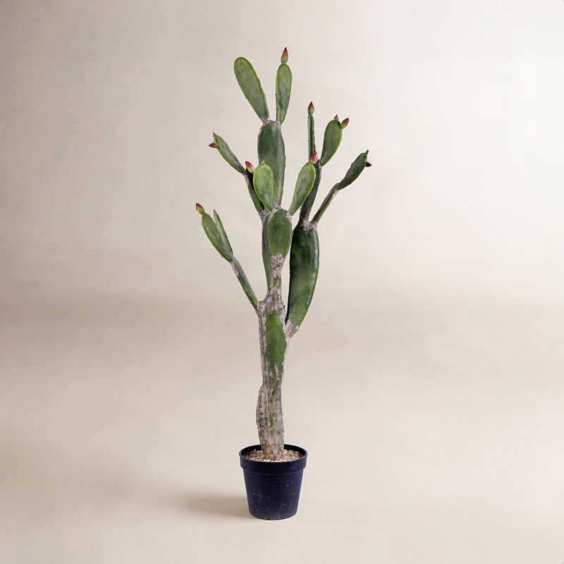 Cactus artificiel en pot, l 57 po x l 14 po x P 16 po