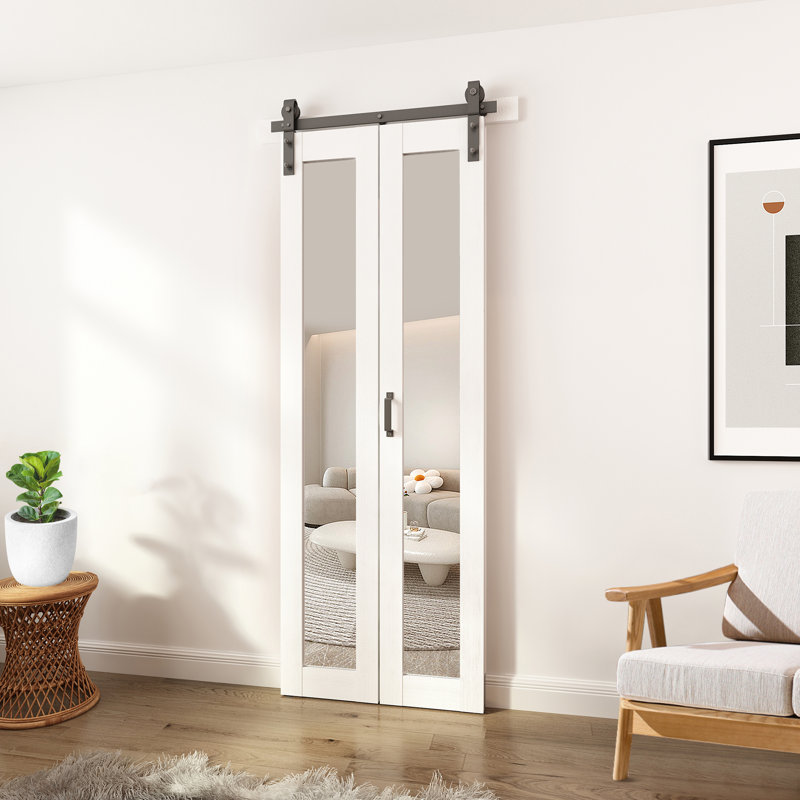 Ensemble de quincaillerie d'installation de porte de grange en verre à miroir pliable avec portes de grange, 30 po x 84 po