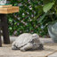 Décoration de tortue, statue de tortue d'extérieur, gris foncé, aucun assemblage requis.